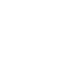 Tnt